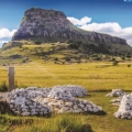 The Zulu War