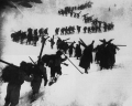 Italian (Alps) Campaign