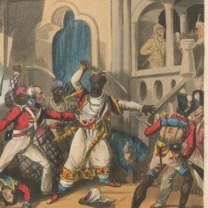 Wellington’s Campaigns in India Wellington’s Campaigns in India